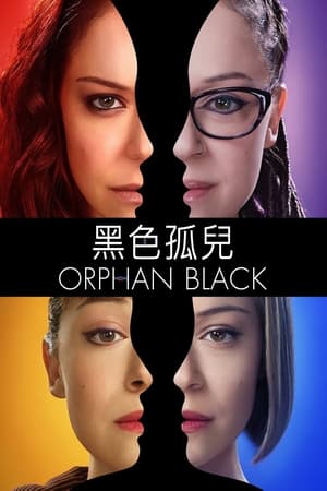 黑色孤儿,Orphan Black(2013电视剧集)