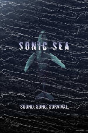 噪音海洋,Sonic Sea(2016电影)