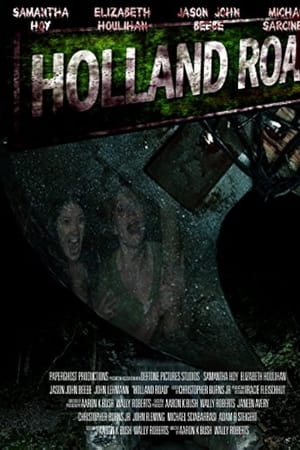 荷兰之路,<em>Holland</em> Road(2015电影)