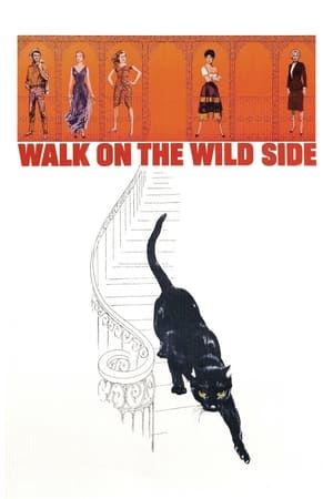神女生涯原是梦,Walk on the Wild Side(1962电影)