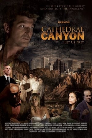 Cathedral Canyon电影海报