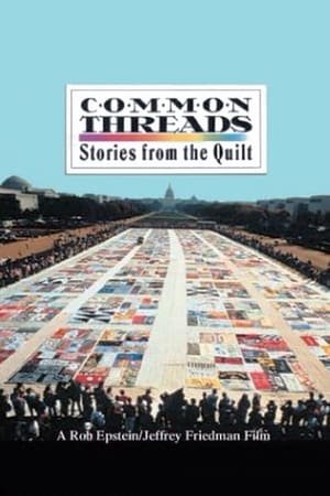 共同的线索,Common Threads: Stories from the Quilt(1989电影)