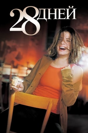 醉酒俏佳人,28 Days(2000电影)