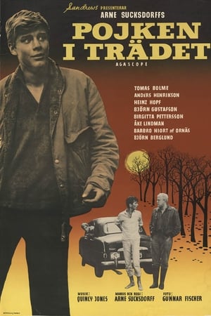 树上男孩,Pojken i trädet(1961电影)