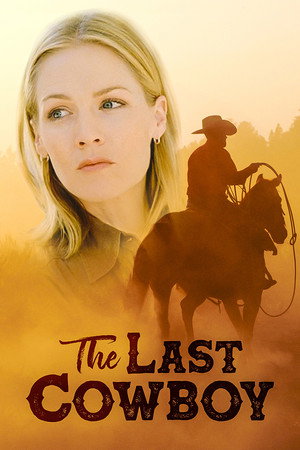 The Last Cowboy海报