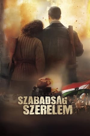 光荣之子,Szabadság, szerelem(2006电影)