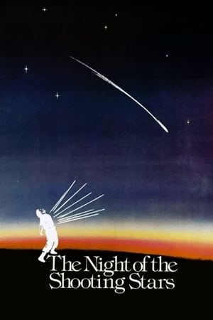 圣洛伦佐之夜,La notte di San Lorenzo(1982电影)
