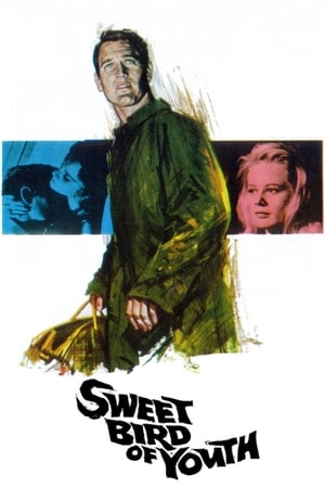 春浓满楼情痴狂,Sweet Bird of Youth(1962电影)