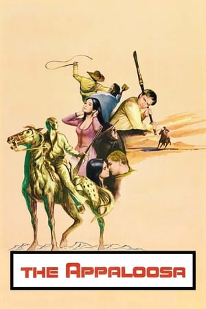 阿巴卢萨,The Appaloosa(1966电影)