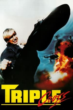 憤怒天使,<em>Angel</em> Of Fury(1992电影)