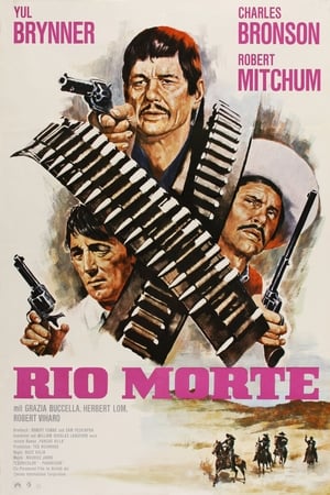西部骑士,Villa Rides(1968电影)