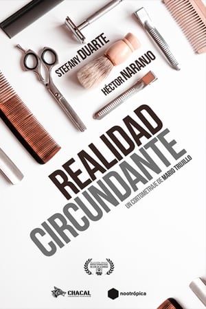 Realidad circundante电影海报