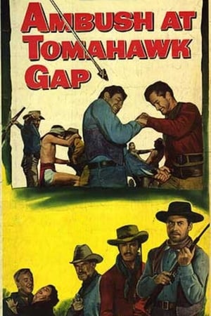 血战凤凰谷,Ambush at Tomahawk Gap(1953电影)