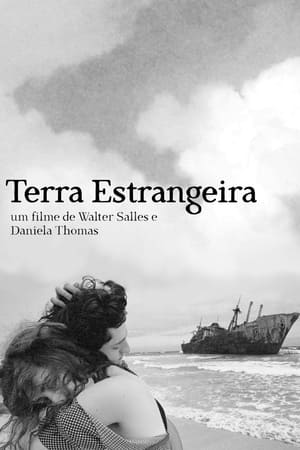 海洋对岸,Terra Estrangeira(1996电影)