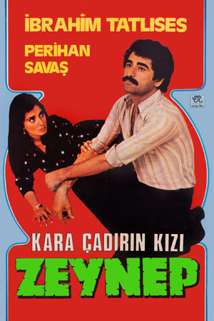 Kara Çadırın Kızı Zeynep电影海报