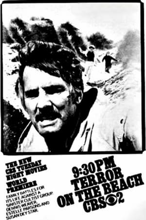 假日惊魂,Terror on the Beach(1973电影)
