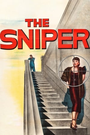 狙击手,The Sniper(1952电影)