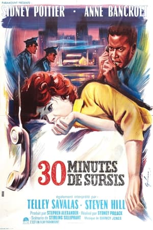 一线生机,The Slender Thread(1965电影)