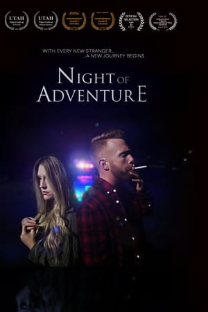 Night of Adventure电影海报