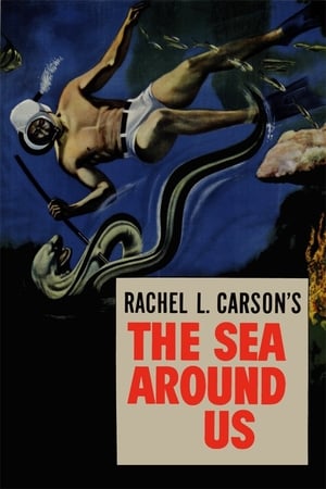 环绕我们的海洋,The Sea Around Us(1953电影)