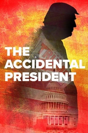 意外的总统,The Accidental President(2020电影)