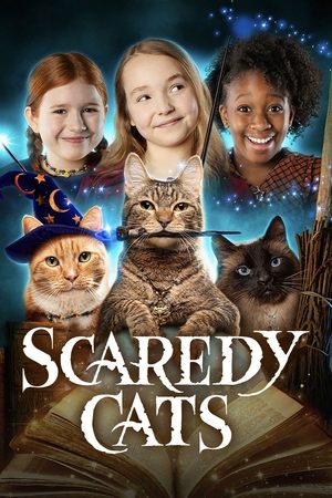 胆小猫,Scaredy Cats(2021电视剧集)