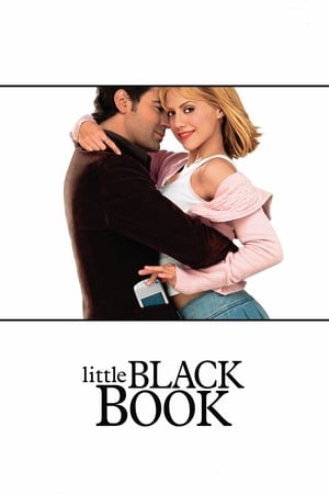 爱情黑名单,Little Black Book(2004电影)