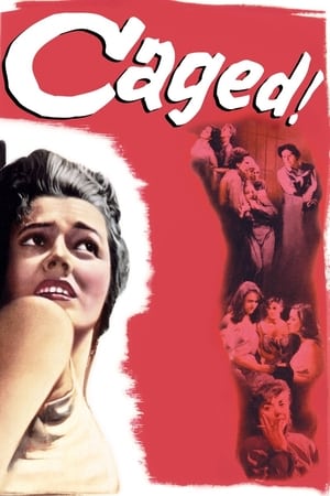 铁窗红泪,Caged(1950电影)