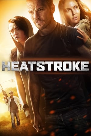 中暑惊魂,Heatstroke(2013电影)