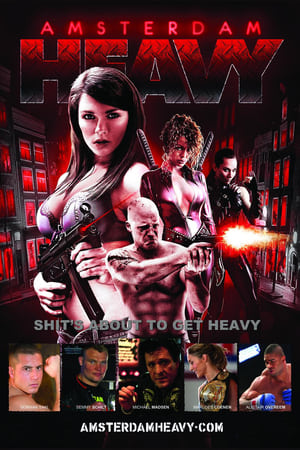 阿姆斯特丹恶棍,Amsterdam Heavy(2011电影)