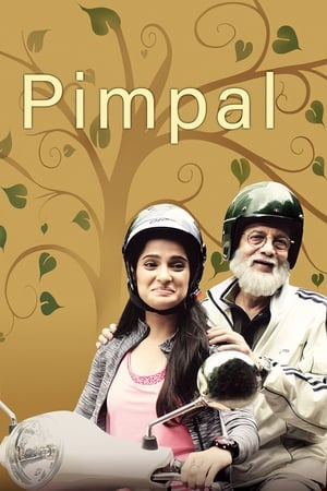 Pimpal电影海报