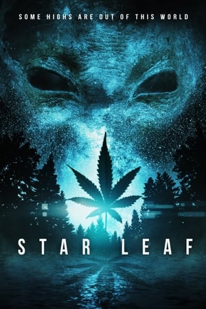 天外飞叶,Star Leaf(2015电影)