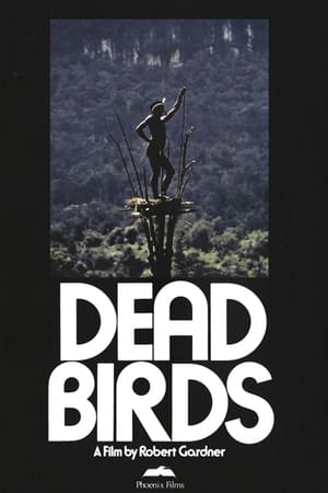死鸟,Dead Birds(1963电影)