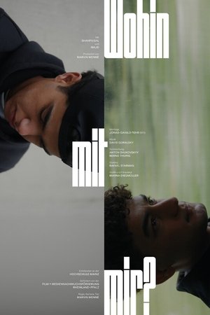 Wohin mit mir?海报