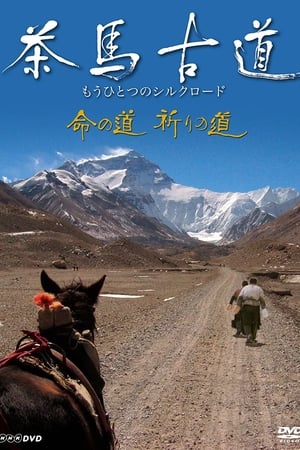 KBS:茶马古道