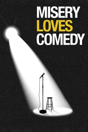 苦痛爱喜剧,Misery Loves Comedy(2015电影)