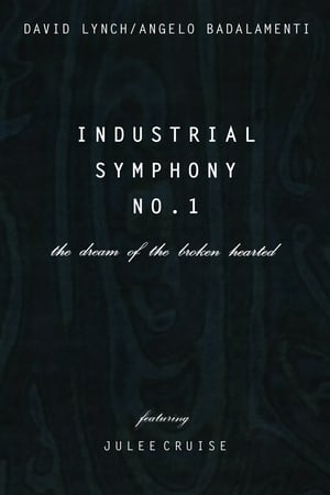 心碎的梦想,Indu<em>st</em>rial Symphony No. 1: The Dream of the Brokenhearted(1990电影)