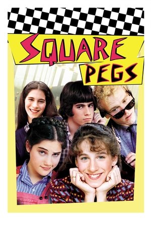 戆夫成龙,Square Pegs(1982电视剧集)