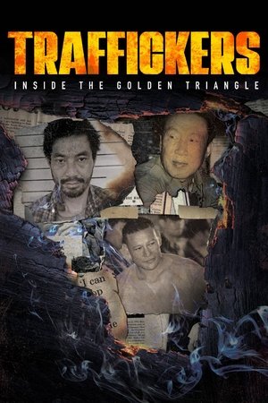 金三角运毒秘辛