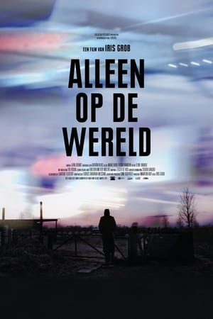 Alleen op de Wereld海报