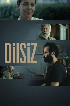 Dilsiz海报