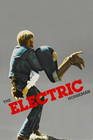 电光骑士,The Electric Horseman(1979电影)