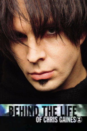 Behind the Life of Chris Gaines海报