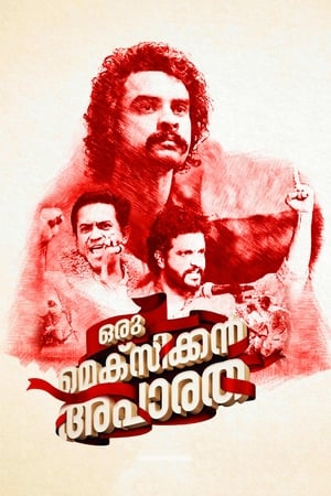ഒരു മെക്സിക്കൻ അപാരത电影海报