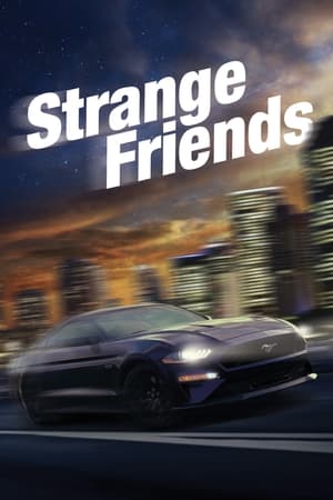 陌生的朋友,Strange Friends(2021电影)