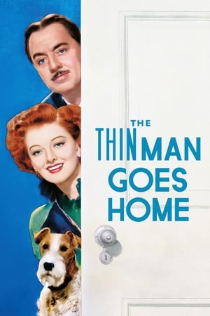 疑云风波,The Thin Man Goes Home(1944电影)