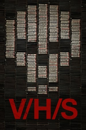 致命录像带,V/H/S(2012电影)