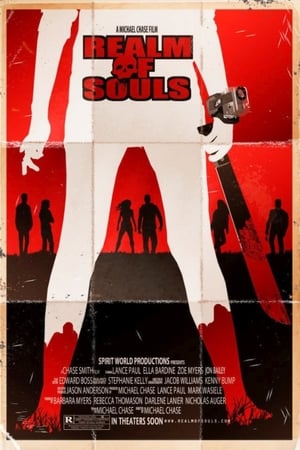 灵魂的领域,Realm Of Souls(2013电影)