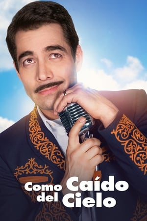 从天而降,Como caído del cielo(2019电影)