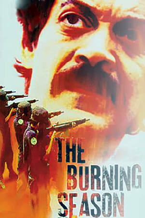 The Burning Season电影海报